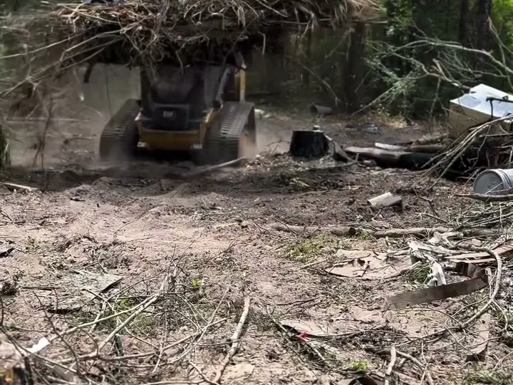 Track loader hauling cleared brush and limbs out of an overgrown yard