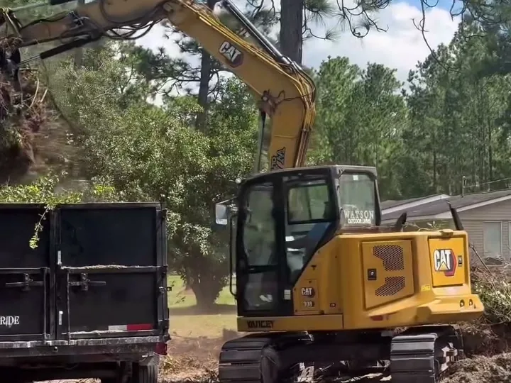 Bush Removal in Statesboro, GA