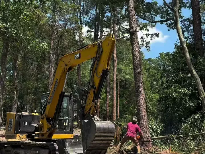Land clearing in Claxton, GA