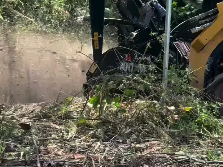 Land Clearing in Springfield, GA