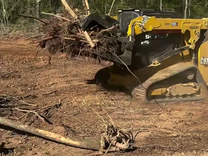 Brush & Underbrush Clearing in Statesboro, GA