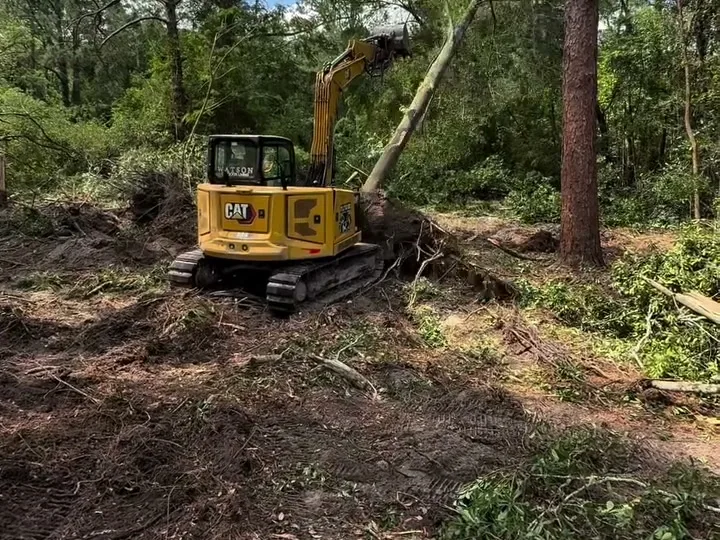 Land Clearing in Hinesville, GA